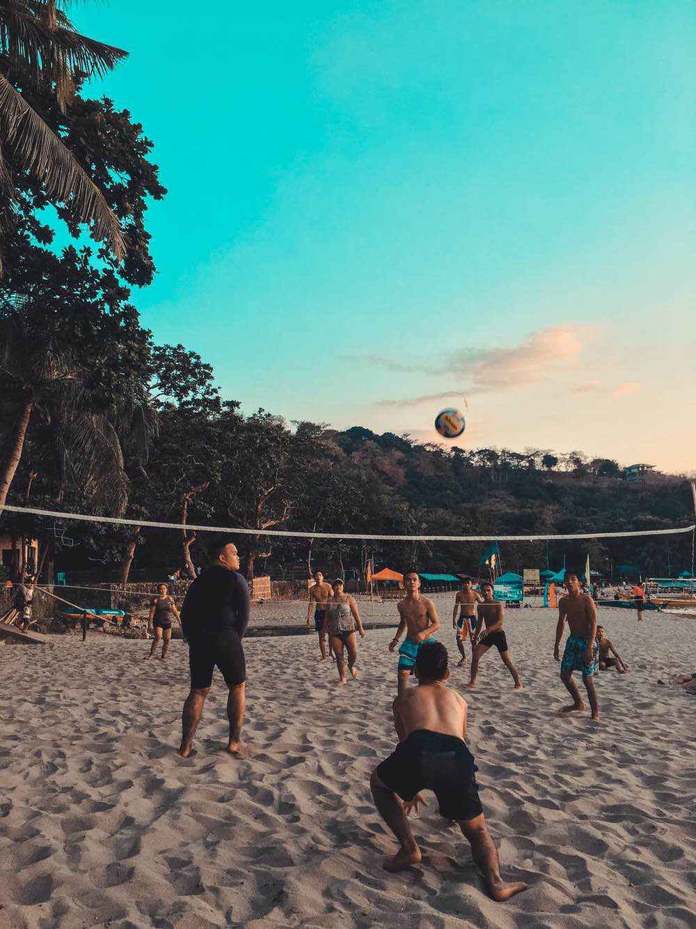 A dozen beach volleyball players on sandy courts beneath palm trees watch a ball arcing toward the net at dusk.